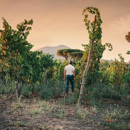 Alloggio per agriturismo La Pergola Vesuviana