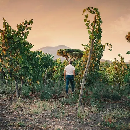 Farm stay La Pergola Vesuviana